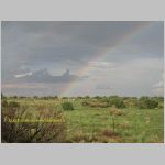 20060813_KaibabForest-CU-Arcobaleno_012 copia.jpg